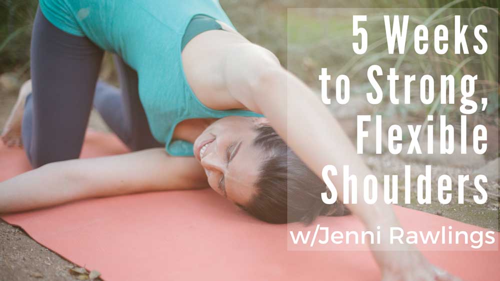 Shoulder Strengthening Beyond Chaturanga — Jenni Rawlings Yoga & Movement  Blog
